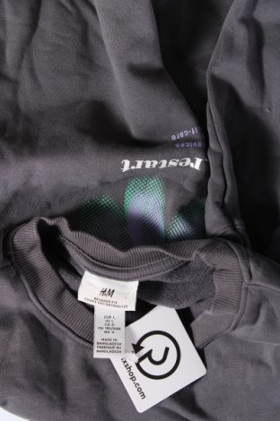 Herren Shirt H&M, Größe L, Farbe Grau, Preis 6,35 €