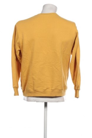 Ανδρική μπλούζα Hollister, Μέγεθος S, Χρώμα Κίτρινο, Τιμή 9,19 €