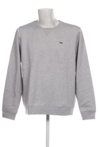 Herren Shirt Lacoste, Größe XXL, Farbe Grau, Preis € 71,50