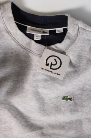 Herren Shirt Lacoste, Größe M, Farbe Grau, Preis 47,32 €