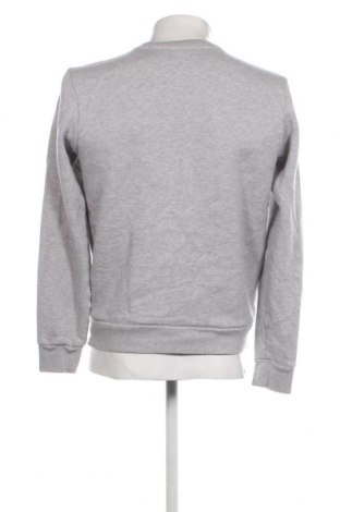Herren Shirt Lacoste, Größe M, Farbe Grau, Preis € 47,32