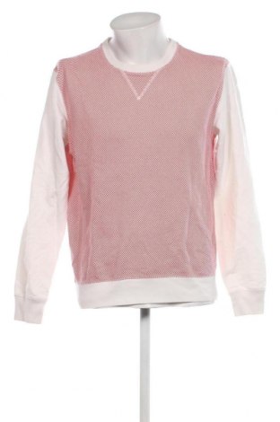 Ανδρική μπλούζα Mauro Grifoni, Μέγεθος L, Χρώμα Πολύχρωμο, Τιμή 31,55 €