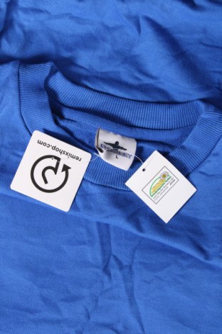Ανδρική μπλούζα Ronley, Μέγεθος L, Χρώμα Μπλέ, Τιμή 6,33 €