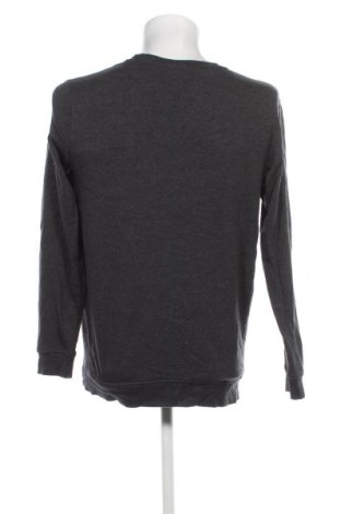 Ανδρική μπλούζα Straight Up, Μέγεθος M, Χρώμα Γκρί, Τιμή 4,35 €