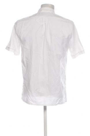 Herrenhemd, Größe M, Farbe Weiß, Preis 14,83 €