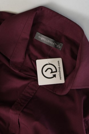 Ανδρικό πουκάμισο Angelo Litrico, Μέγεθος S, Χρώμα Βιολετί, Τιμή 7,16 €