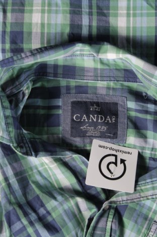 Herrenhemd Canda, Größe L, Farbe Grün, Preis 12,11 €