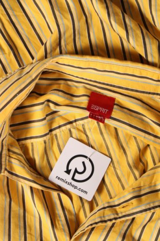 Ανδρικό πουκάμισο Esprit, Μέγεθος M, Χρώμα Κίτρινο, Τιμή 4,21 €