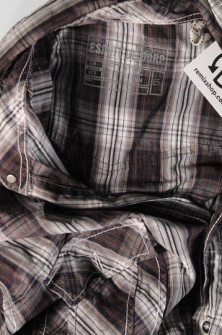 Ανδρικό πουκάμισο Esprit de Corp, Μέγεθος XL, Χρώμα Πολύχρωμο, Τιμή 6,94 €