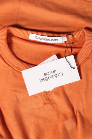 Pánské tričko  Calvin Klein Jeans, Velikost M, Barva Oranžová, Cena  1 116,00 Kč