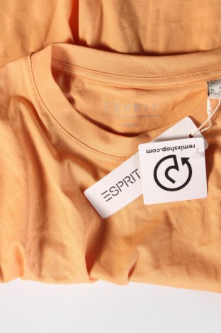 Pánske tričko  Esprit, Veľkosť L, Farba Žltá, Cena  15,98 €