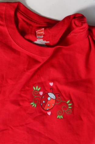 Ανδρικό t-shirt Hanes, Μέγεθος S, Χρώμα Κόκκινο, Τιμή 6,03 €