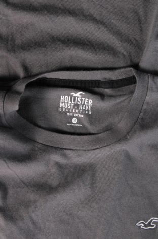 Ανδρικό t-shirt Hollister, Μέγεθος M, Χρώμα Γκρί, Τιμή 15,98 €