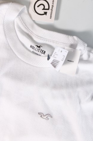 Herren T-Shirt Hollister, Größe L, Farbe Weiß, Preis € 15,98