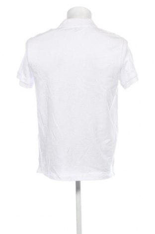 Herren T-Shirt Oviesse, Größe M, Farbe Weiß, Preis 10,82 €