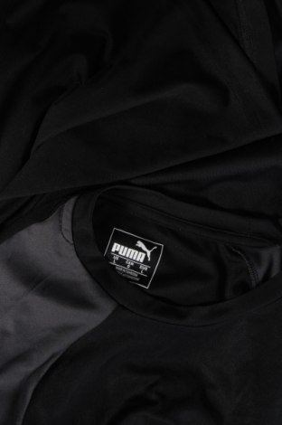 Herren T-Shirt PUMA, Größe L, Farbe Schwarz, Preis 18,79 €