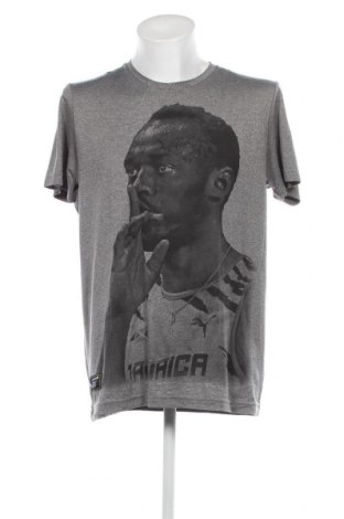 Ανδρικό t-shirt PUMA, Μέγεθος L, Χρώμα Γκρί, Τιμή 16,70 €