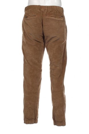 Herren Cordhose Tom Tailor, Größe L, Farbe Beige, Preis 12,84 €