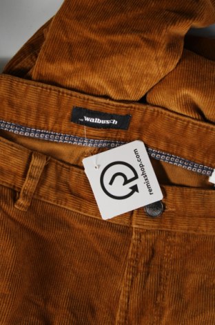 Ανδρικό κοτλέ παντελόνι Walbusch, Μέγεθος XXL, Χρώμα Πορτοκαλί, Τιμή 24,16 €