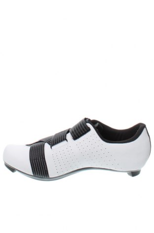 Ανδρικά παπούτσια, Μέγεθος 43, Χρώμα Λευκό, Τιμή 31,96 €