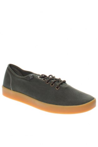 Herrenschuhe Napapijri, Größe 42, Farbe Grün, Preis 44,95 €