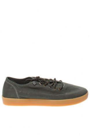 Herrenschuhe Napapijri, Größe 44, Farbe Grün, Preis 76,41 €