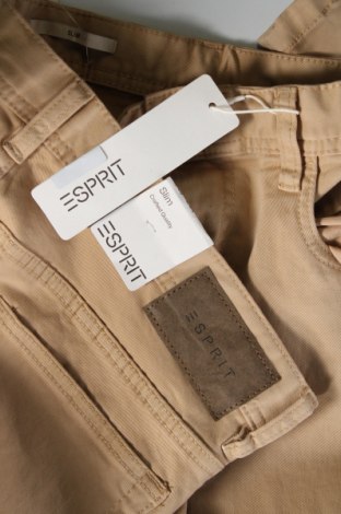Мъжки панталон Esprit, Размер L, Цвят Бежов, Цена 93,00 лв.