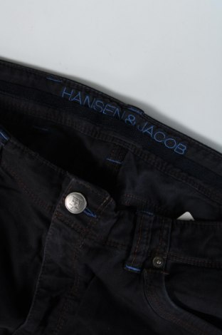 Мъжки панталон Hansen & Jacob, Размер M, Цвят Син, Цена 28,00 лв.