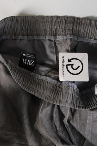 Pantaloni de bărbați Zara, Mărime M, Culoare Gri, Preț 88,82 Lei