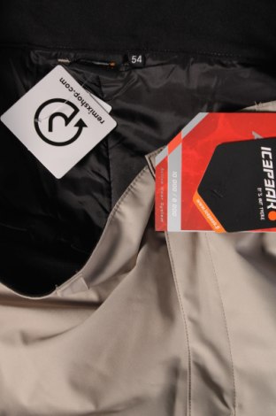 Herrenhose für Wintersport Icepeak, Größe XL, Farbe Beige, Preis € 43,30