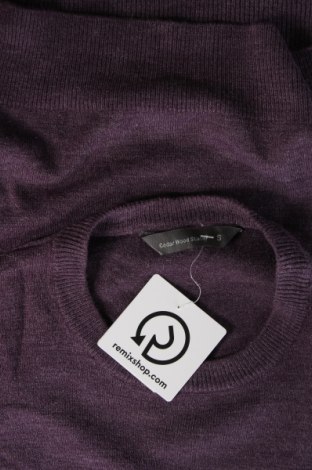 Herrenpullover CedarWood State, Größe S, Farbe Lila, Preis 20,18 €