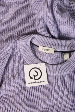 Ανδρικό πουλόβερ Esprit, Μέγεθος S, Χρώμα Βιολετί, Τιμή 10,09 €
