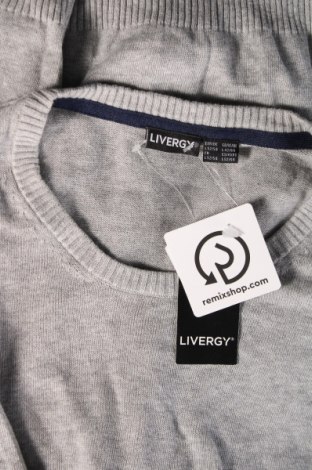 Мъжки пуловер Livergy, Размер L, Цвят Сив, Цена 24,38 лв.