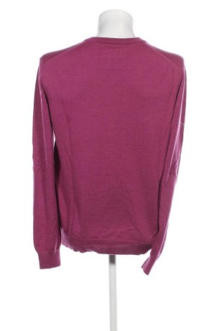 Ανδρικό πουλόβερ Redgreen, Μέγεθος XL, Χρώμα Βιολετί, Τιμή 13,04 €