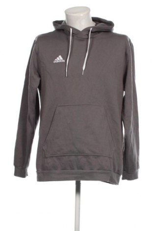 Herren Sweatshirt Adidas, Größe XL, Farbe Grau, Preis € 38,27