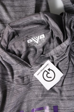 Herren Sweatshirt Level Wear, Größe XL, Farbe Grau, Preis € 11,70