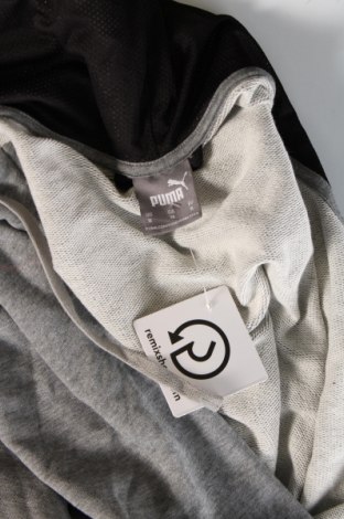Herren Sweatshirt PUMA, Größe XL, Farbe Grau, Preis 38,27 €