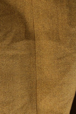 Pánske sako , Veľkosť L, Farba Viacfarebná, Cena  10,48 €