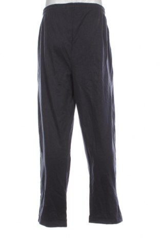 Ανδρικό αθλητικό παντελόνι Crane, Μέγεθος XXL, Χρώμα Μπλέ, Τιμή 13,46 €