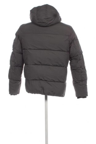 Ανδρικό μπουφάν Calvin Klein, Μέγεθος L, Χρώμα Γκρί, Τιμή 196,78 €