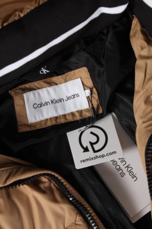 Pánska bunda  Calvin Klein, Veľkosť S, Farba Béžová, Cena  183,66 €