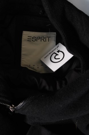 Ανδρικό μπουφάν Esprit, Μέγεθος L, Χρώμα Μαύρο, Τιμή 26,12 €