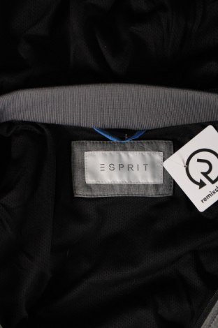 Ανδρικό μπουφάν Esprit, Μέγεθος L, Χρώμα Γκρί, Τιμή 25,48 €