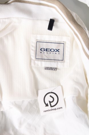 Ανδρικό μπουφάν Geox, Μέγεθος L, Χρώμα Εκρού, Τιμή 56,41 €