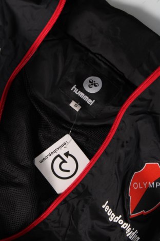Ανδρικό μπουφάν Hummel, Μέγεθος S, Χρώμα Μαύρο, Τιμή 12,99 €