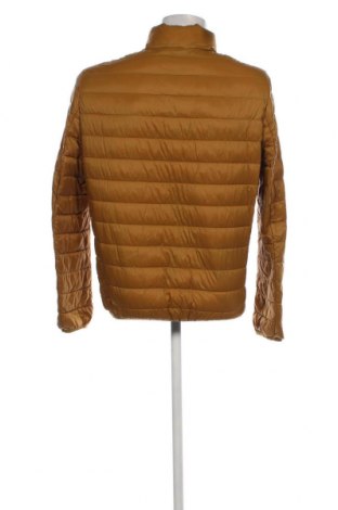 Herrenjacke Oviesse, Größe L, Farbe Braun, Preis 16,67 €