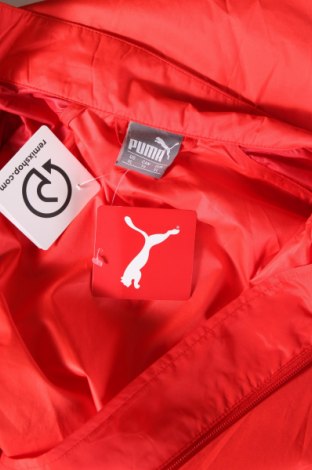 Ανδρικό μπουφάν PUMA, Μέγεθος XL, Χρώμα Κόκκινο, Τιμή 41,81 €