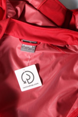 Herrenjacke PUMA, Größe L, Farbe Rot, Preis € 50,10