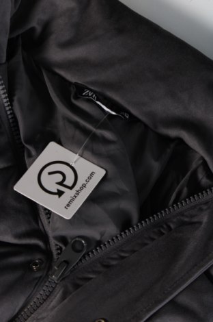 Ανδρικό μπουφάν Zara, Μέγεθος XL, Χρώμα Γκρί, Τιμή 27,02 €