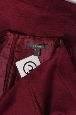 Sukně Esprit, Velikost XS, Barva Červená, Cena  131,00 Kč